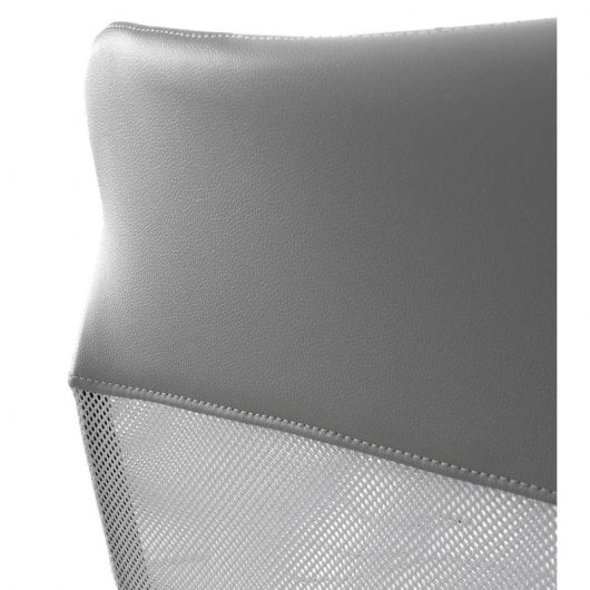Home Heavenly Diora Silla de Oficina Gris