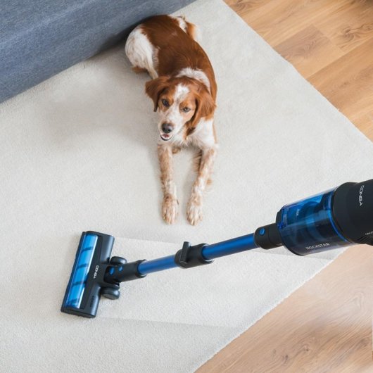 Cecotec Conga Rockstar 8500 Infinity Ergowet Animal Turbo balai/aspirateur à main sans fil 29.6V 680W