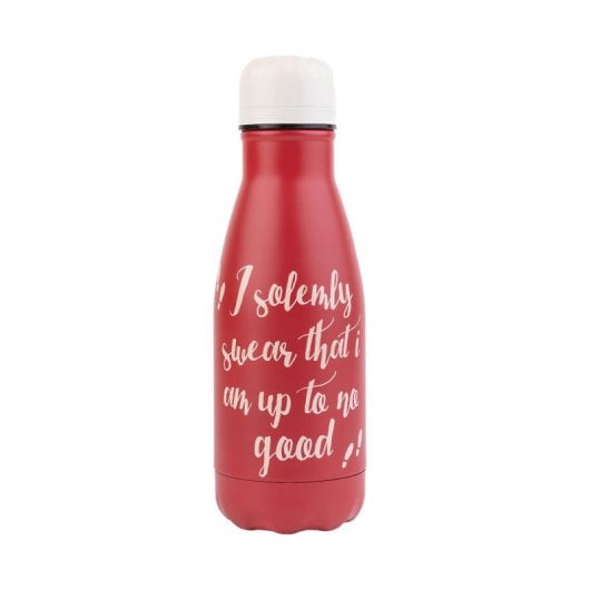 Erik Editores Botella Metalica Hot&cold 260ml Harry Potter