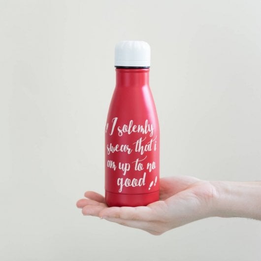 Erik Editores Botella Metalica Hot&cold 260ml Harry Potter