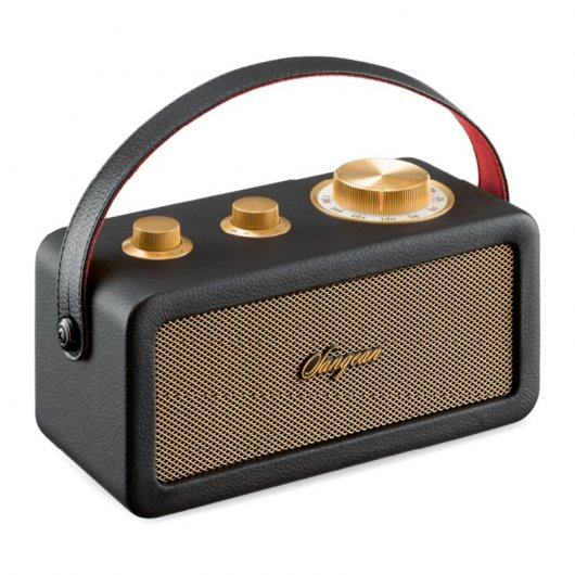 Radio Bluetooth portatile Sangean RA-101 con batteria nera/oro