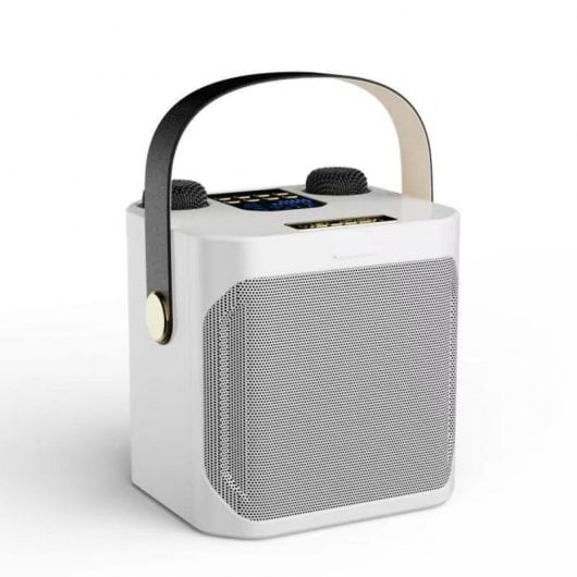 Klack Karaoke Altavoz Subwoofer con Doble Micrófono Bluetooth 100W Cambiador de Voz Plata