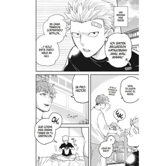 Manga Arechi Megumi Tsugumi Romanzo Rústica 242 Pagine