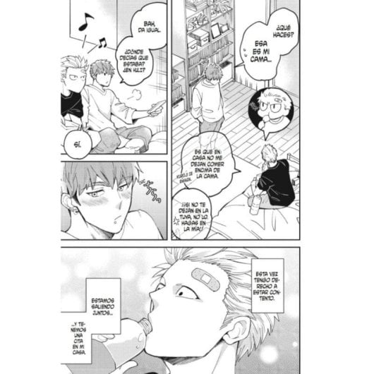 Manga Arechi Megumi Tsugumi Romanzo Rústica 242 Pagine