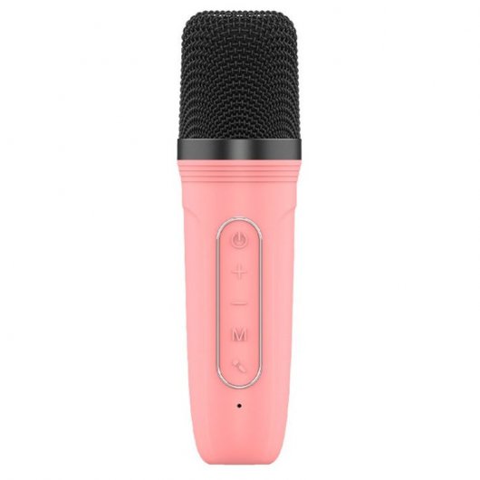 Cool Mini Enceinte Bluetooth Karaoké avec Karaoké 6W + Microphone Rose