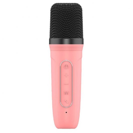 Fantastico altoparlante Bluetooth Mini Karaoke con Karaoke 6W + microfono Rosa