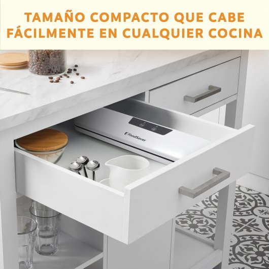 FoodSaver Everyday VS0290X Envasadora al Vacío para Alimentos
