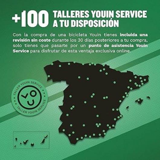 Youin Everest Bicicleta de Montaña Eléctrica Batería LG 21Vel Shimano Talla M