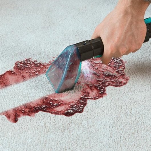 Cecotec Conga 5000 Carpet&Spot Clean XXL Aspirador de Tapicerías 650W