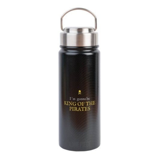 Erik Editores Hot&Cold One Piece Netflix Metallic-Flasche 550 ml