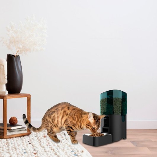 Cecotec Pumba 6000 Purrfect Meal Smart Comedero Automático para Mascotas con Control WiFi