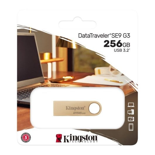 Kingston Technology DataTraveler 256GB 220MB/s Drive USB 3.2 Gen 1 in Metallo SE9 G3