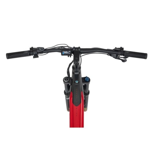 Ecobike Rx500 19 Pro 17.5ah Bicicleta Eléctrica De Montaña