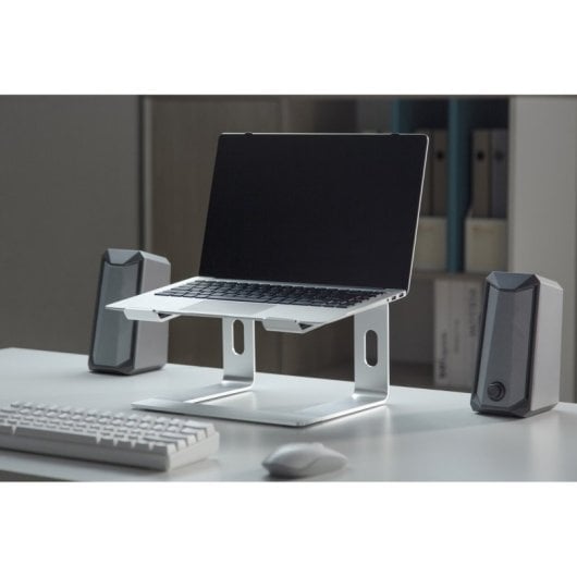 Gembird Nbs-d1-01 Vertikaler Laptopständer, silber