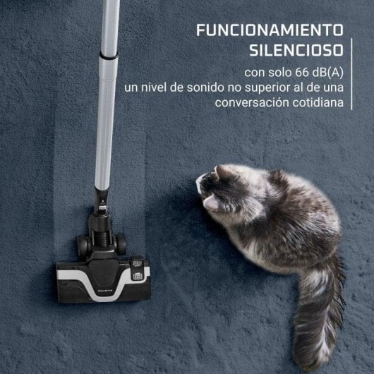 Beutelloser Staubsauger Rowenta Green Force Cyclonic Effitech+ RO7C66 500W 2,5L HEPA Tierhaare