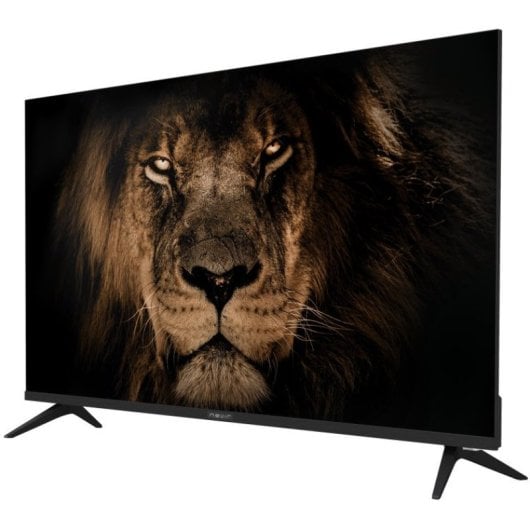 Nevir NVR-8073-40FHD2S-SMA-N 40" LED Full HD HD