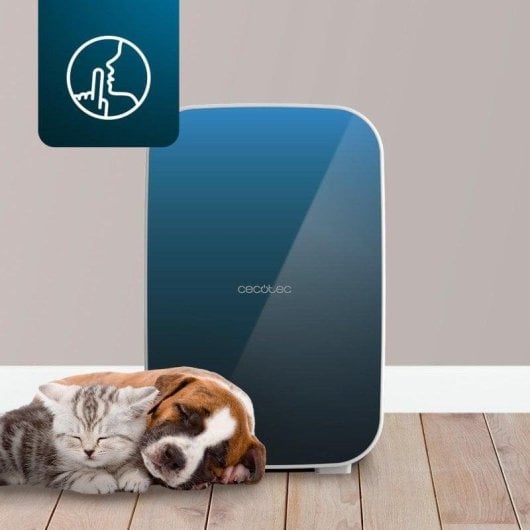 Frigorifero Cecotec Bolero MiniCooling 25L Bahamas Pat 1 12V-220V Blu Silenzioso