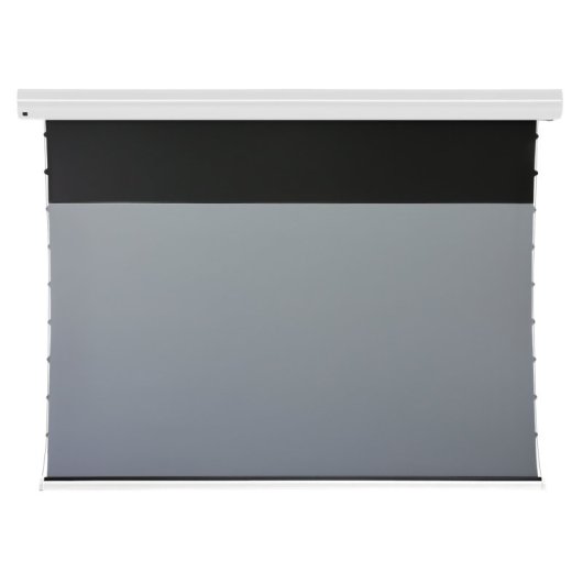 Celexon Leinwand Motor HomeCinema Plus Pantalla de Proyección 100" 16:9