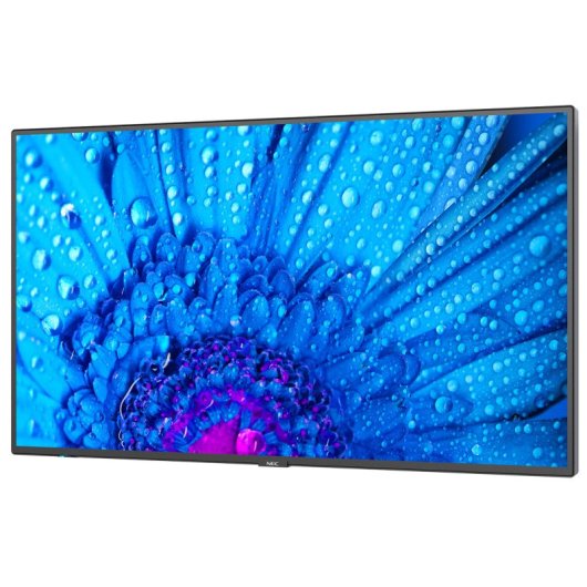 NEC MultiSync M491 Pantalla de Señalización Digital 49" IPS UltraHD 4K