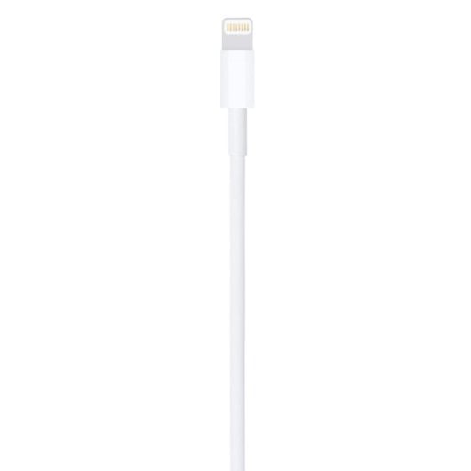 Câble Apple Lightning vers USB 2.0 Mâle/Mâle 1m Blanc