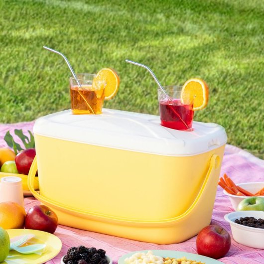 Glacière portative rigide Lilty Innovagoods 15 L