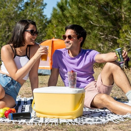 Glacière portative rigide Lilty Innovagoods 15 L
