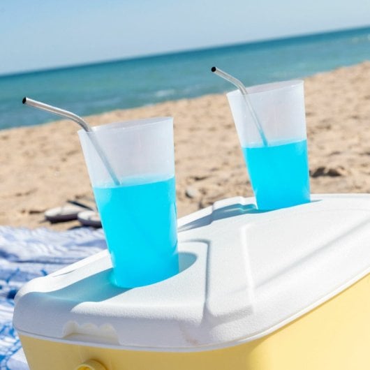 Glacière portative rigide Lilty Innovagoods 15 L