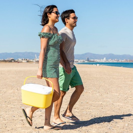 Glacière portative rigide Lilty Innovagoods 15 L