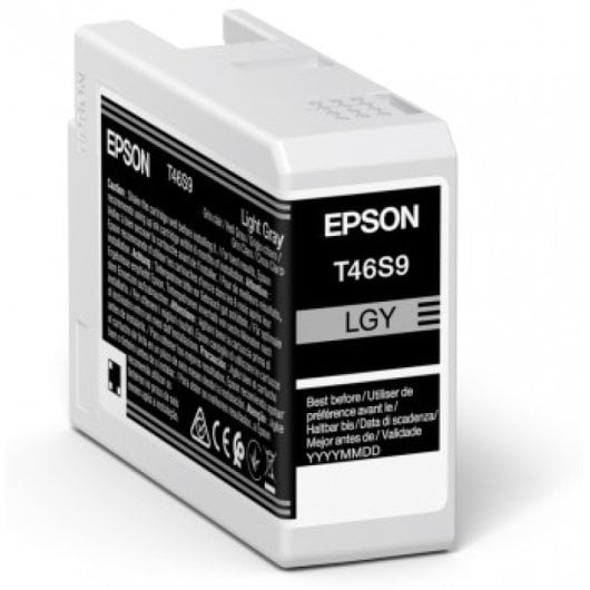Cartucho de tinta Epson UltraChrome Pro 1 unidade(s) Original Cinza claro