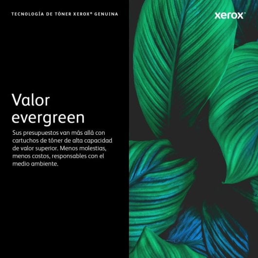 Original Xerox 106R03473 Cyan-Tonerkartusche