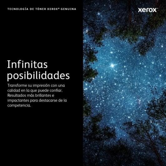 Cartucho de Tóner Original Xerox 106R04347 XL Negro