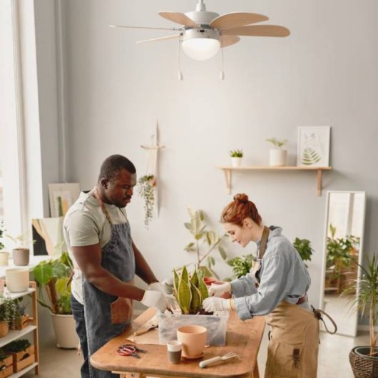 Universal Blue Geneva 6030W Ventilador de Techo con Luz y Aspas Reversibles 76cm 50W Blanco/Madera