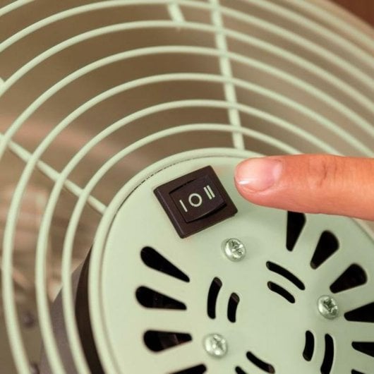 Ventilador Cecotec EnergySilence 250 ClassicStyle Green 25W 10" 2 Velocidades Pé Verde