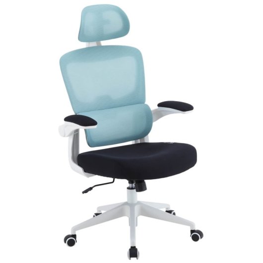 Woxter Ergo Ergonomischer Bürostuhl Blau
