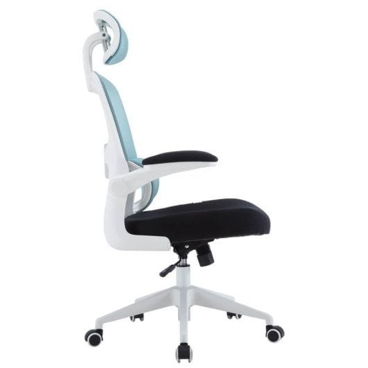 Woxter Ergo Ergonomischer Bürostuhl Blau