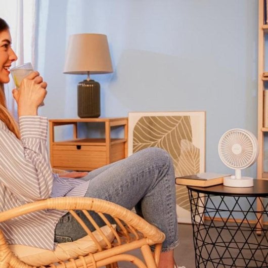 Ventilatore Cecotec EnergySilence 2000 15 cm Bianco Batteria 2000 mAh Oscillante