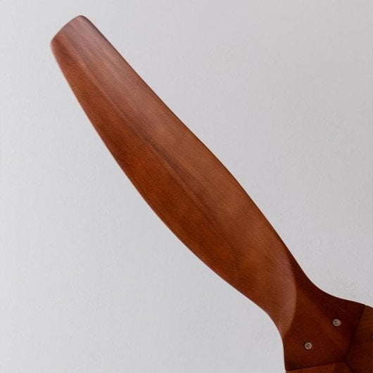 Ventilateur de plafond Cecotec Energysilence Aero 5270 White&BlackWood 52" 40W DC silencieux télécommande