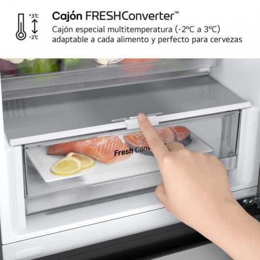 LG GBV3210DPY Frigorífico Combinado No Frost D Aço Inoxidável