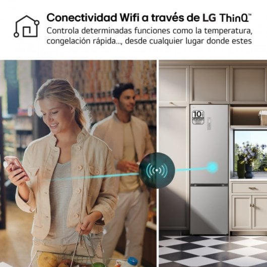 LG GBV3210DPY Frigorífico Combinado No Frost D Aço Inoxidável