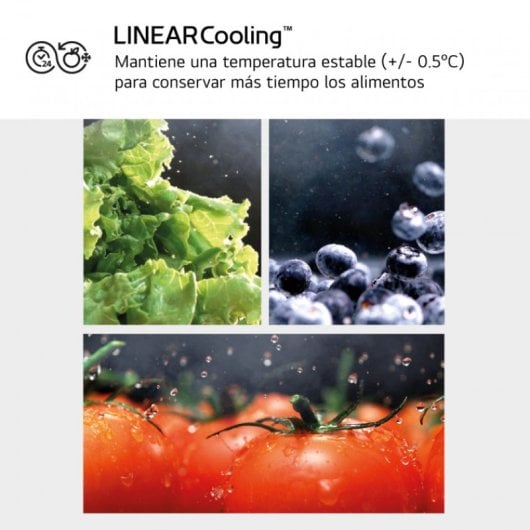 LG GBV3210DPY Frigorífico Combinado No Frost D Aço Inoxidável