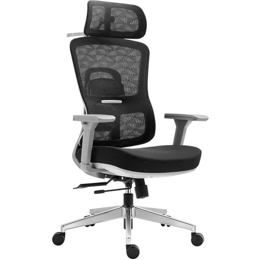 Chaise de bureau ergonomique Summit noire Owlotech