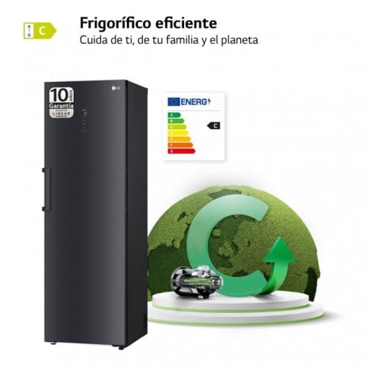 LG GLM71MCCSX.AMCQEUR Frigorífico Una Puerta C Acero Grisáceo Antihuellas