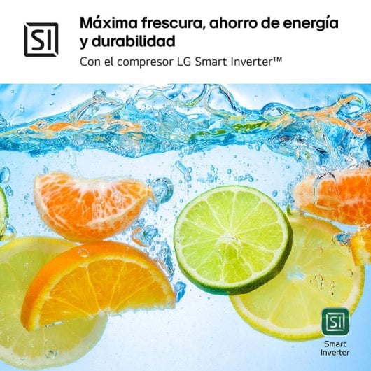 LG GBV7280DPY Frigorífico Combi D Acero Inoxidable