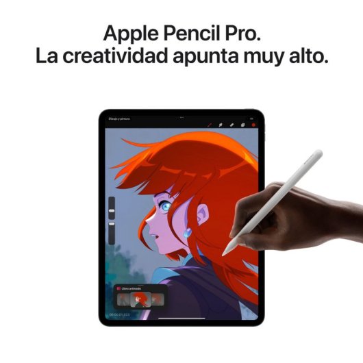 Apple iPad Pro 2024 11" Wifi + Cellular 2TB Vidrio Nanotexturizado Plata
