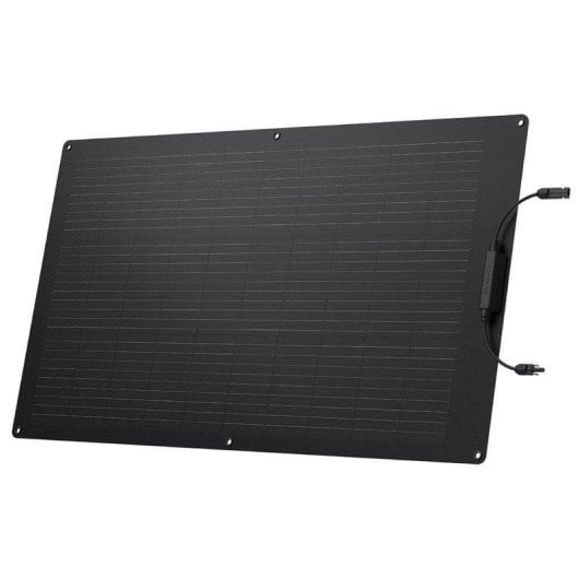 Panneau Solaire EcoFlow ZMS330 100W – Flexible – Résistance IP68 – Léger
