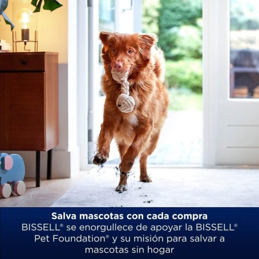 Bissell Spot & Stain Pro Oxy 1L Solución Quitamanchas para Limpiadores de Tapicerías