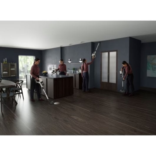 AEG AP81UB25SH aspirateur à main Noir, Argent, Blanc Sans sac
