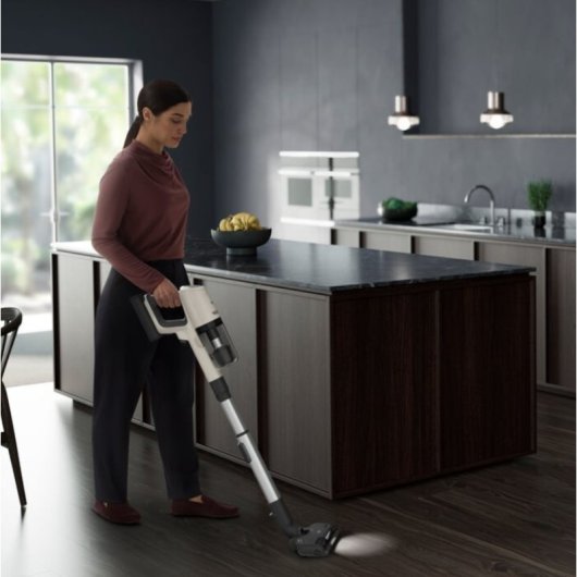 AEG AP81UB25SH aspirateur à main Noir, Argent, Blanc Sans sac