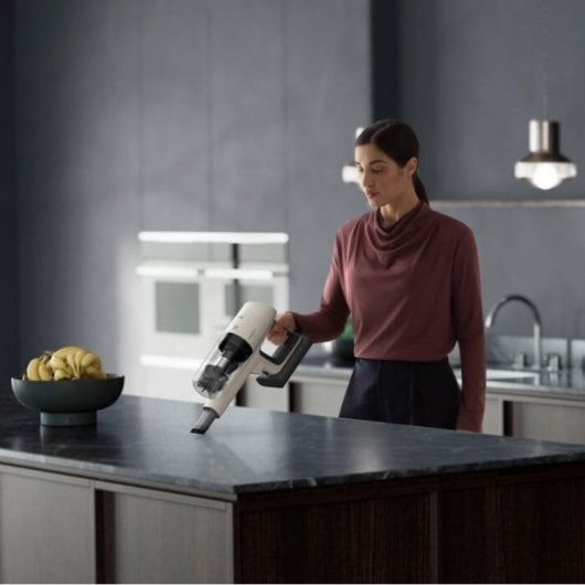 AEG AP81UB25SH aspirateur à main Noir, Argent, Blanc Sans sac