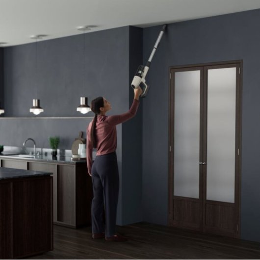 AEG AP81UB25SH aspirateur à main Noir, Argent, Blanc Sans sac